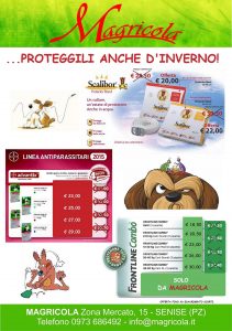 prevenzione-11_2016